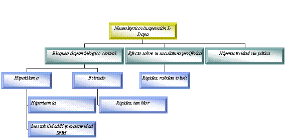 Organigrama