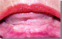 Copia de Operaciones Rosy 016 (Small) (2)