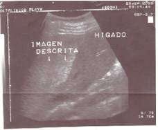 tema06imagen01